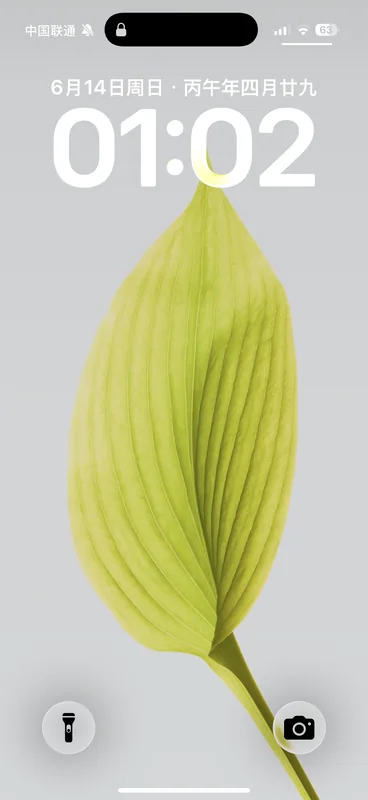张俊霞
